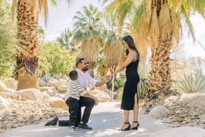A romantic marriage proposal takes place in a scenic palm tree garden setting with warm sunlight filtering through.