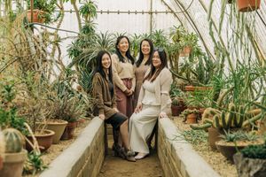 People explore a lush greenhouse filled with tropical plants and hanging vines, creating a serene botanical atmosphere.