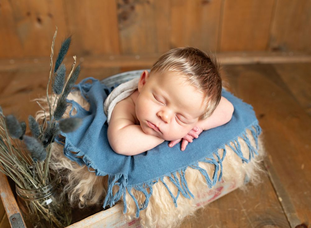 Newborn and family photographer in Holly Springs NC and Raleigh NC