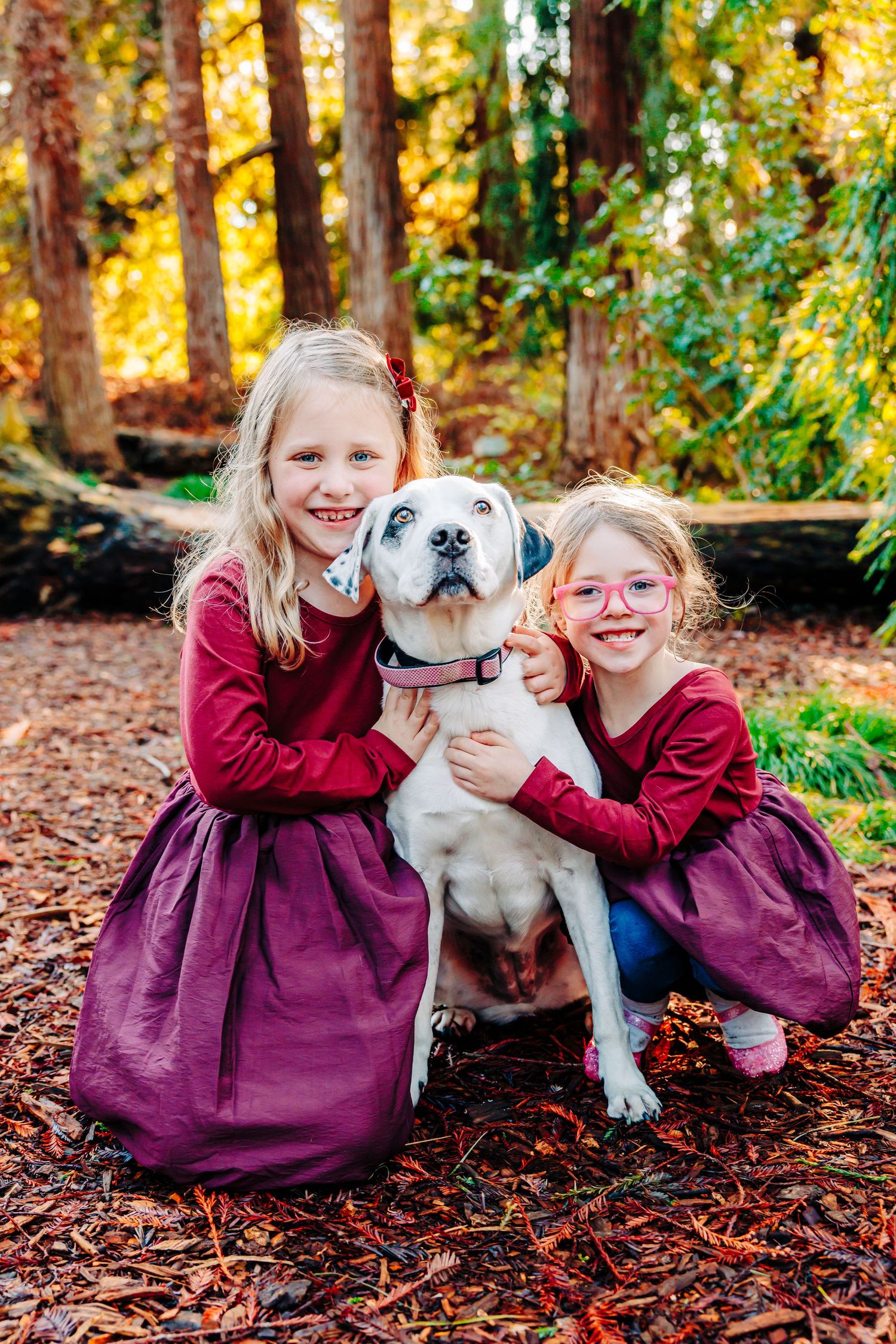 Two children in burgundy dresses sit with a white and brown bulldog on autumn leaves in a wooded setting.