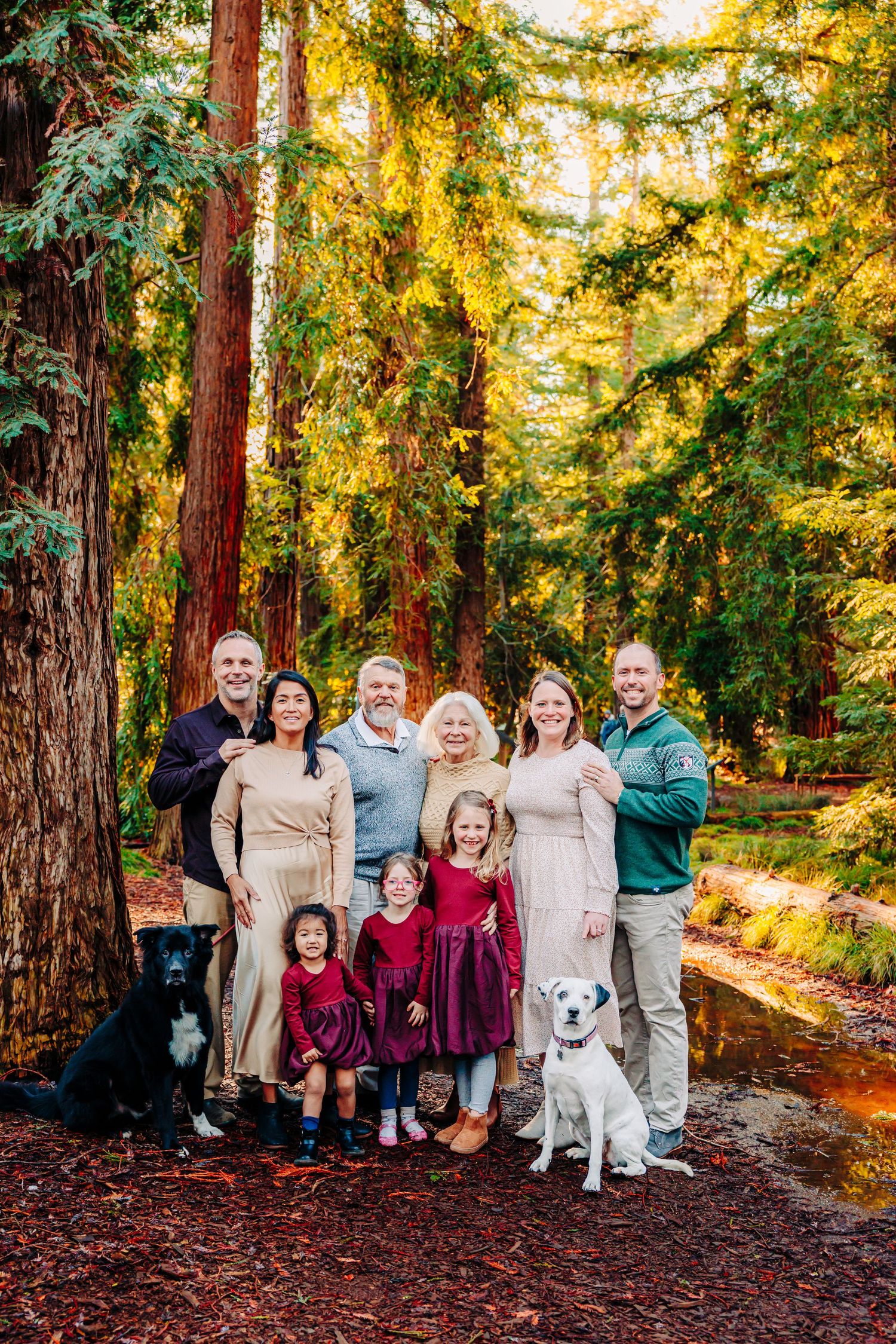 A group stands together with their white dog among tall redwood trees during golden hour in a forest setting.
