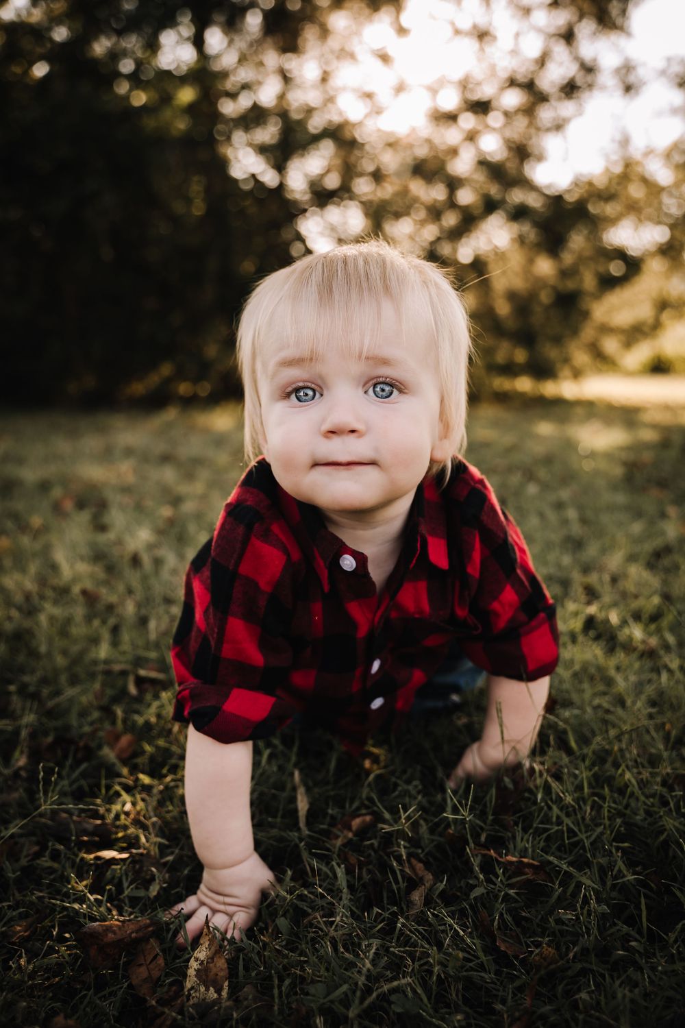 Adorable blonde toddler in red plaid shirt crawling on green grass outdoors during golden hour. in nashville Tennessee