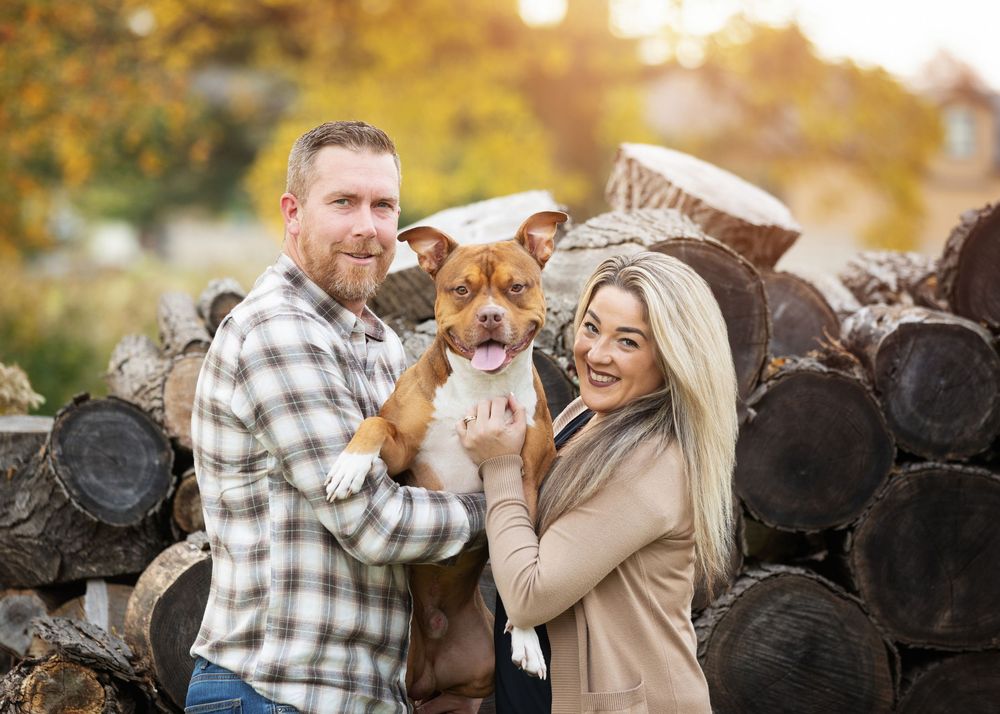 family pet photography detroit