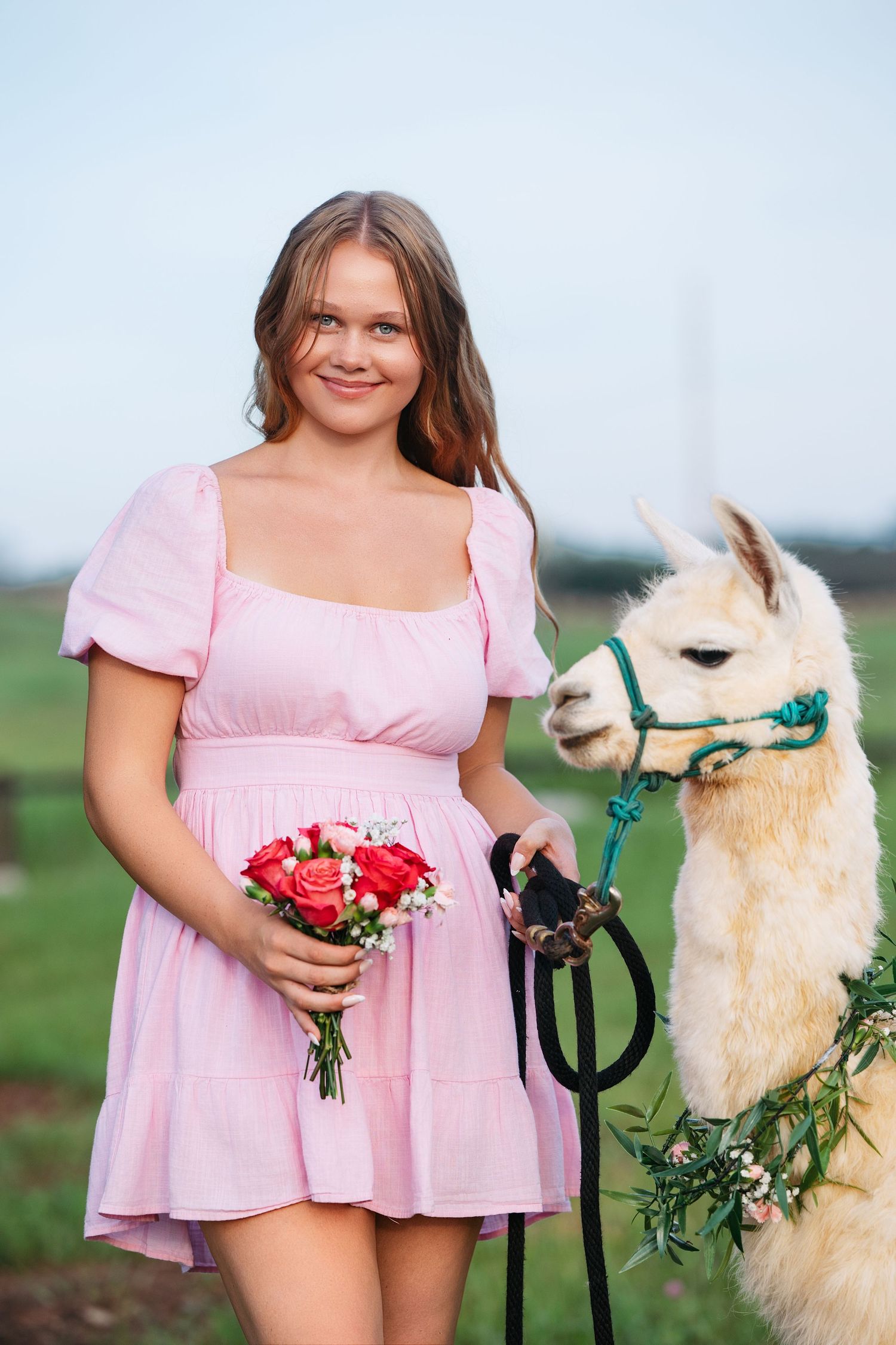 A pink-dressed person poses with a cream-colored llama holding red flowers in a grassy field.