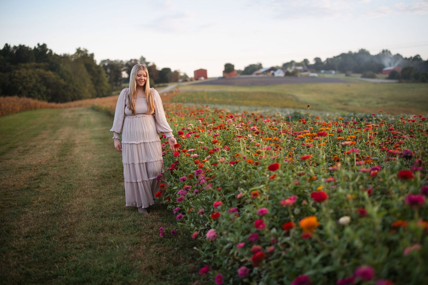 Scenic landscape photography of a wildflower field with red poppies at sunset.  Middle TN senior photographer.