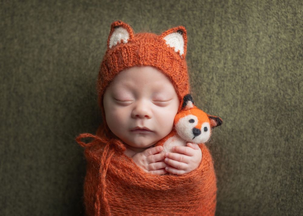 baby fox allen park newborn photography