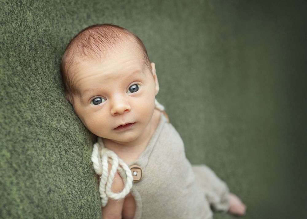 brownstown newborn photography