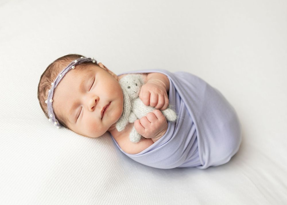 flat rock newborn photography