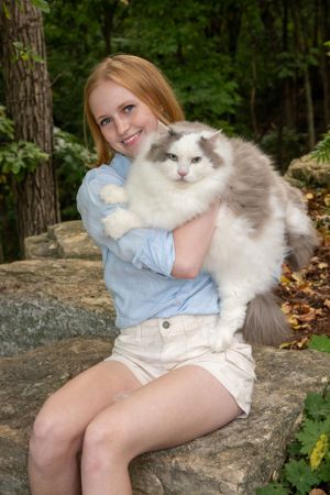 A beautiful Ragdoll cat with fluffy white and grey fur is being held outdoors on a rock in a wooded setting.