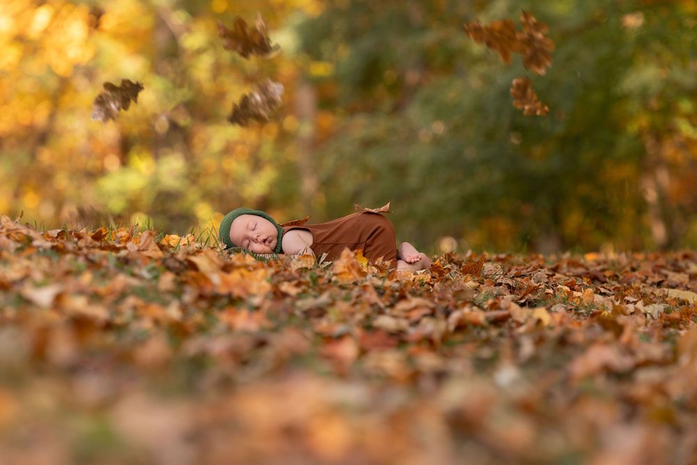 baby sleeps in fall scene