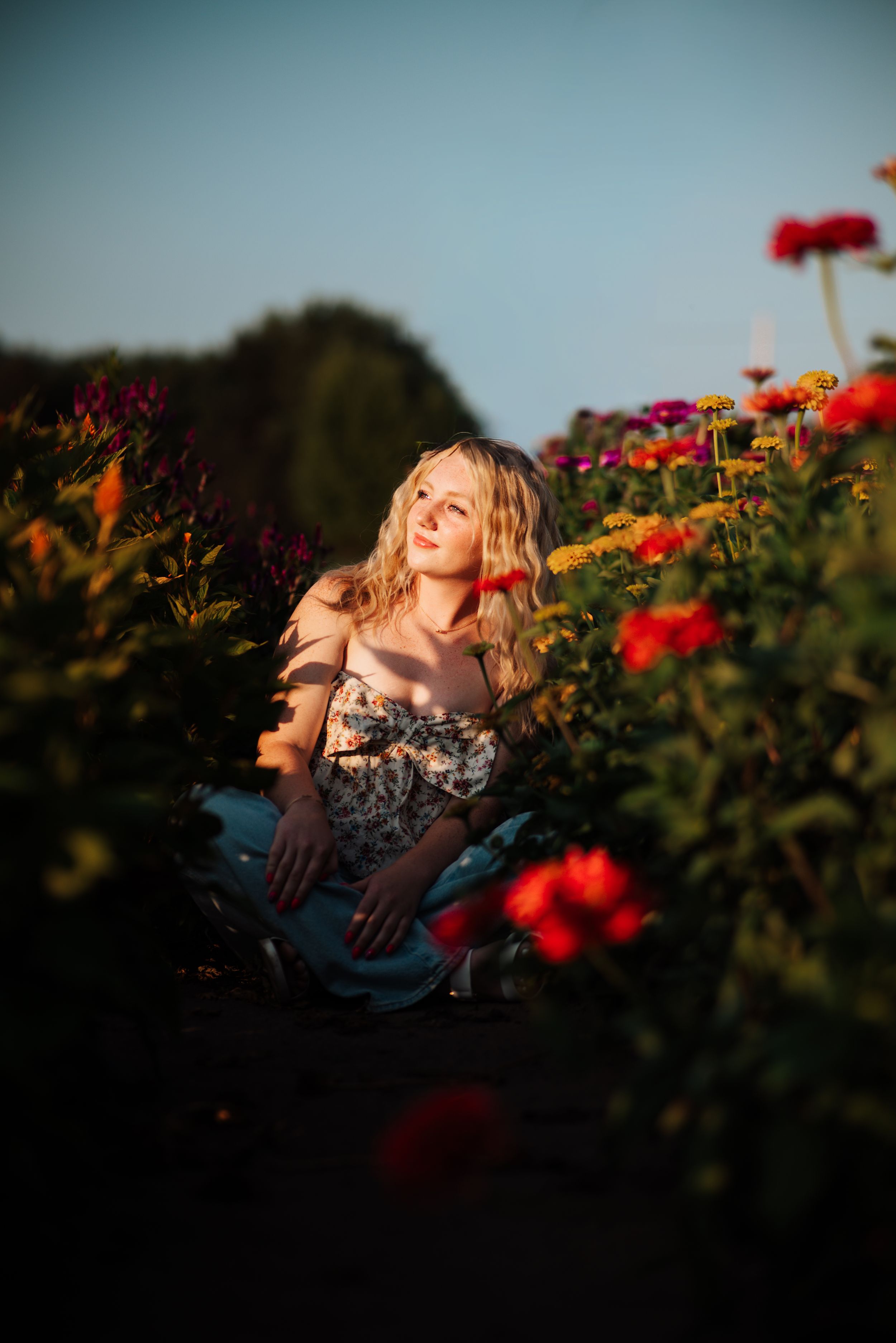 A person lies in a field of vibrant red and orange flowers during golden hour sunset.
