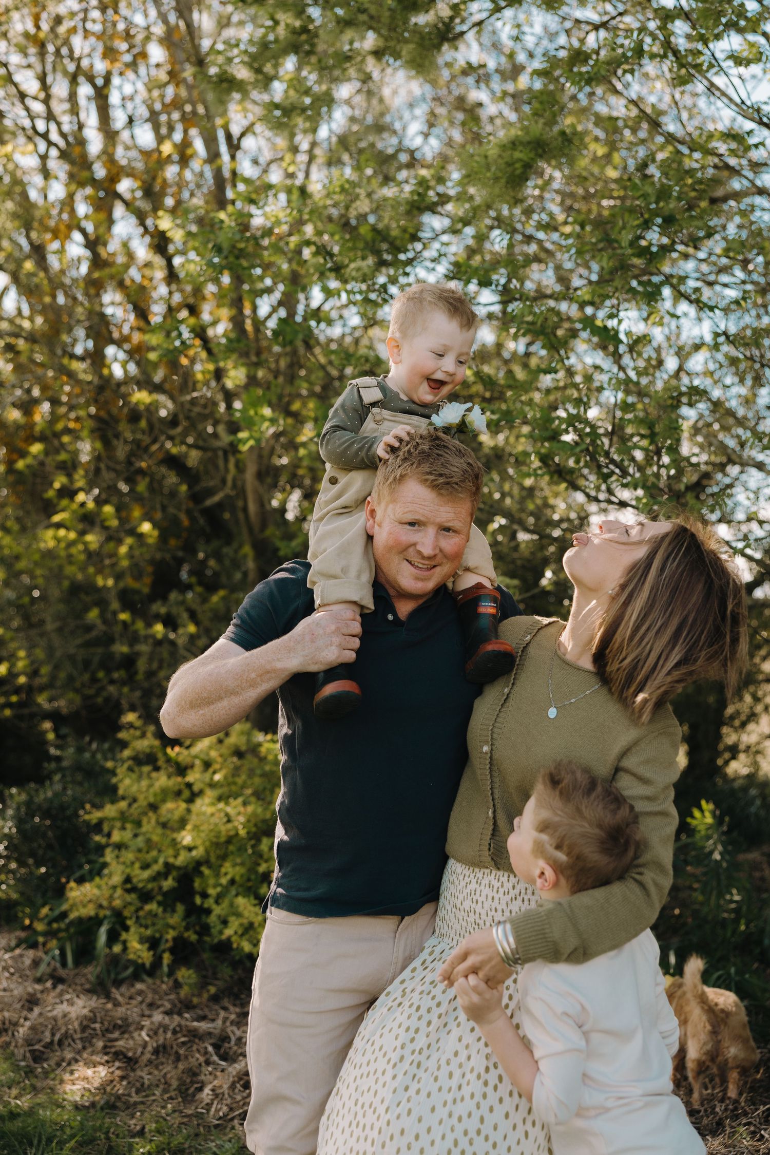 A sequence of joyful family interactions captured in a natural outdoor setting during golden hour.