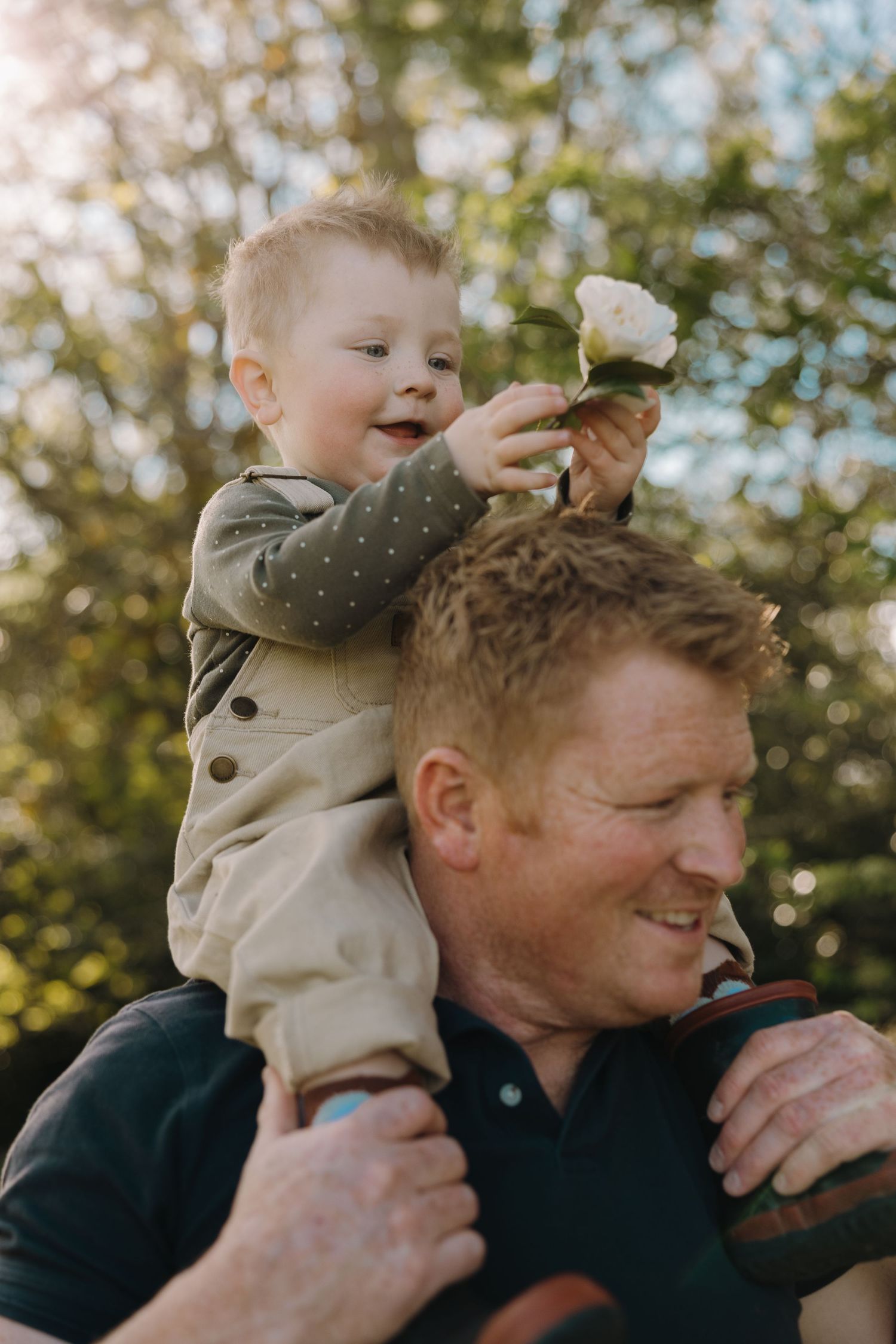 A playful moment captured in warm sunlight as a toddler sits on shoulders outdoors in a natural setting.