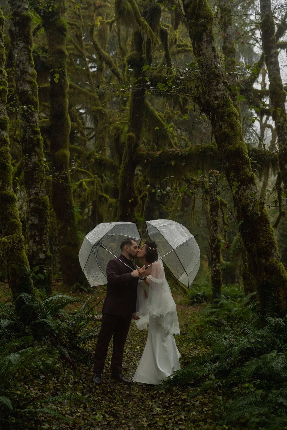 A romantic couple shares an intimate moment under clear umbrellas in a misty forest setting.