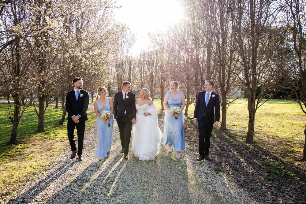 Wedding party walks along a sunlit path with blossoming trees creating a romantic spring atmosphere.