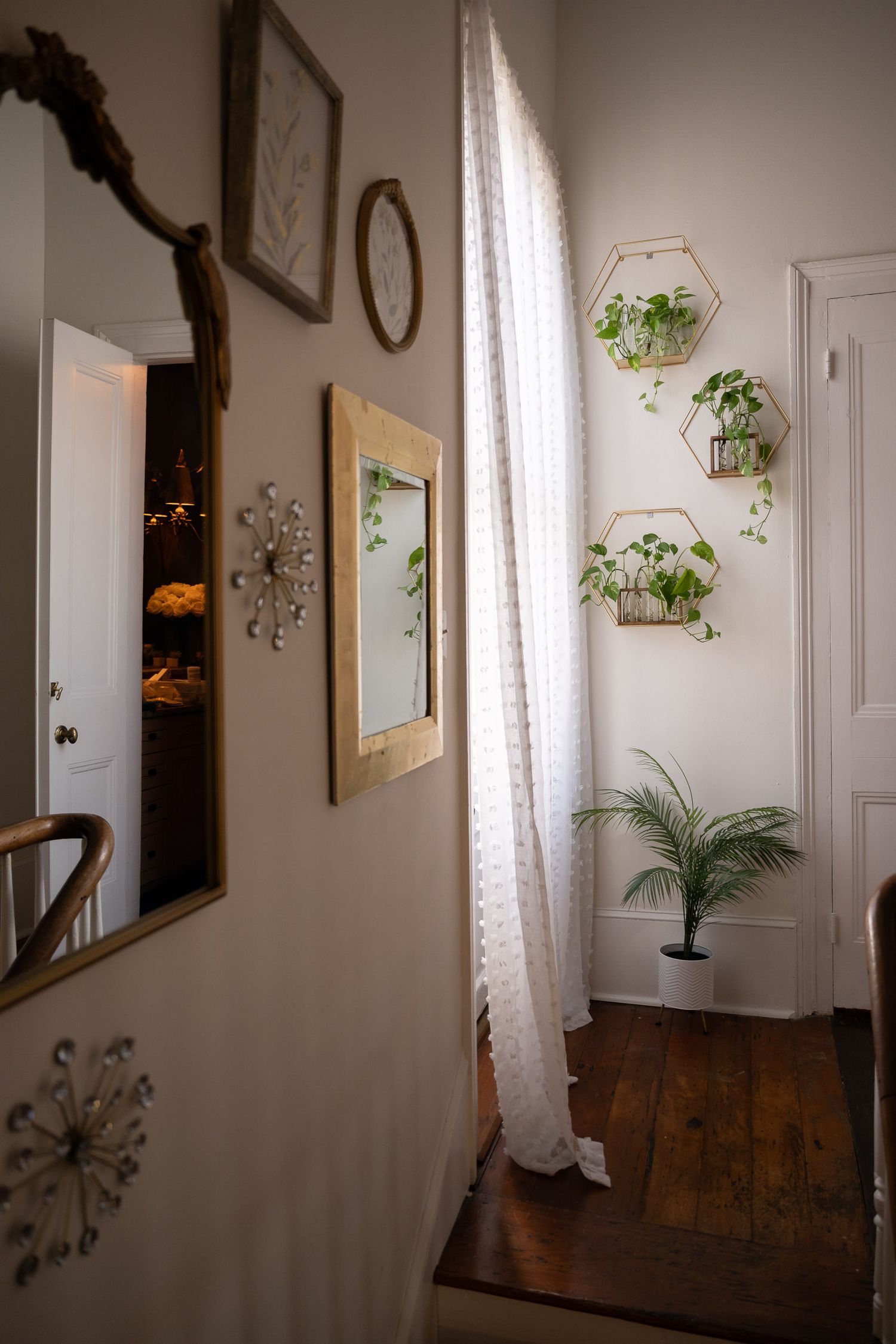 Cozy hallway with wooden floors features hexagonal wall planters, mirrors, and sheer white curtains in natural light.