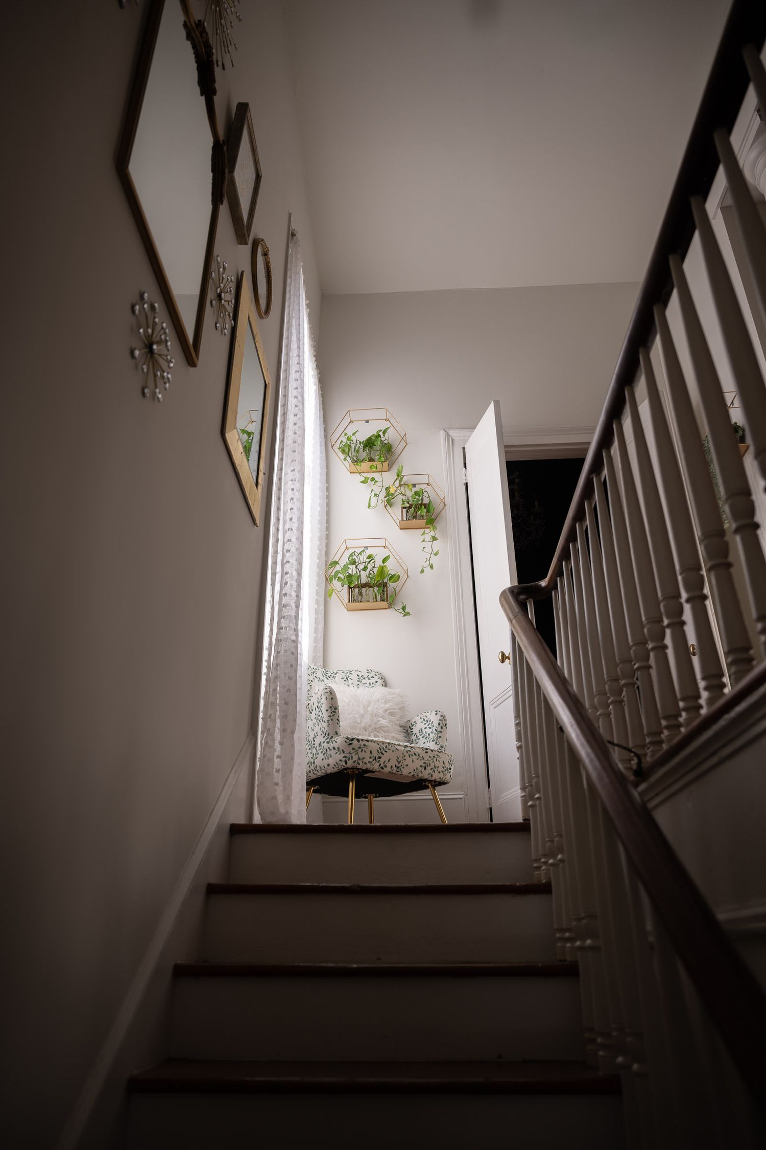 Looking up a dimly lit staircase with white walls decorated with hanging plants and framed artwork.