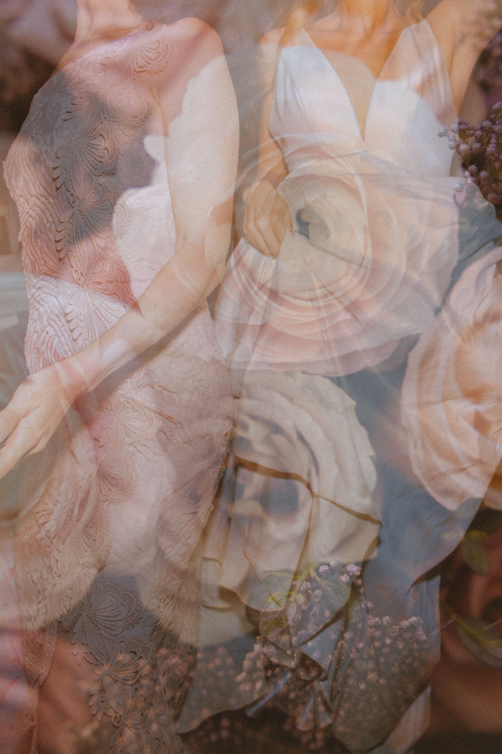 Dreamy double exposure of a bride in lace gown overlaid with soft pink and white ranunculus flowers.