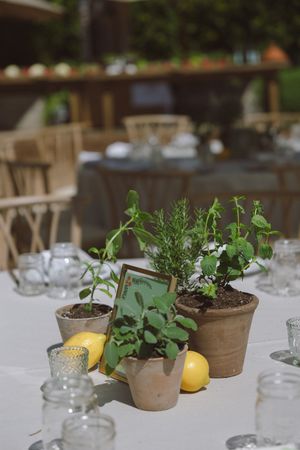 Rustic wedding centerpiece with potted herbs, lemons, a framed table number, and glass jars on a white tablecloth.