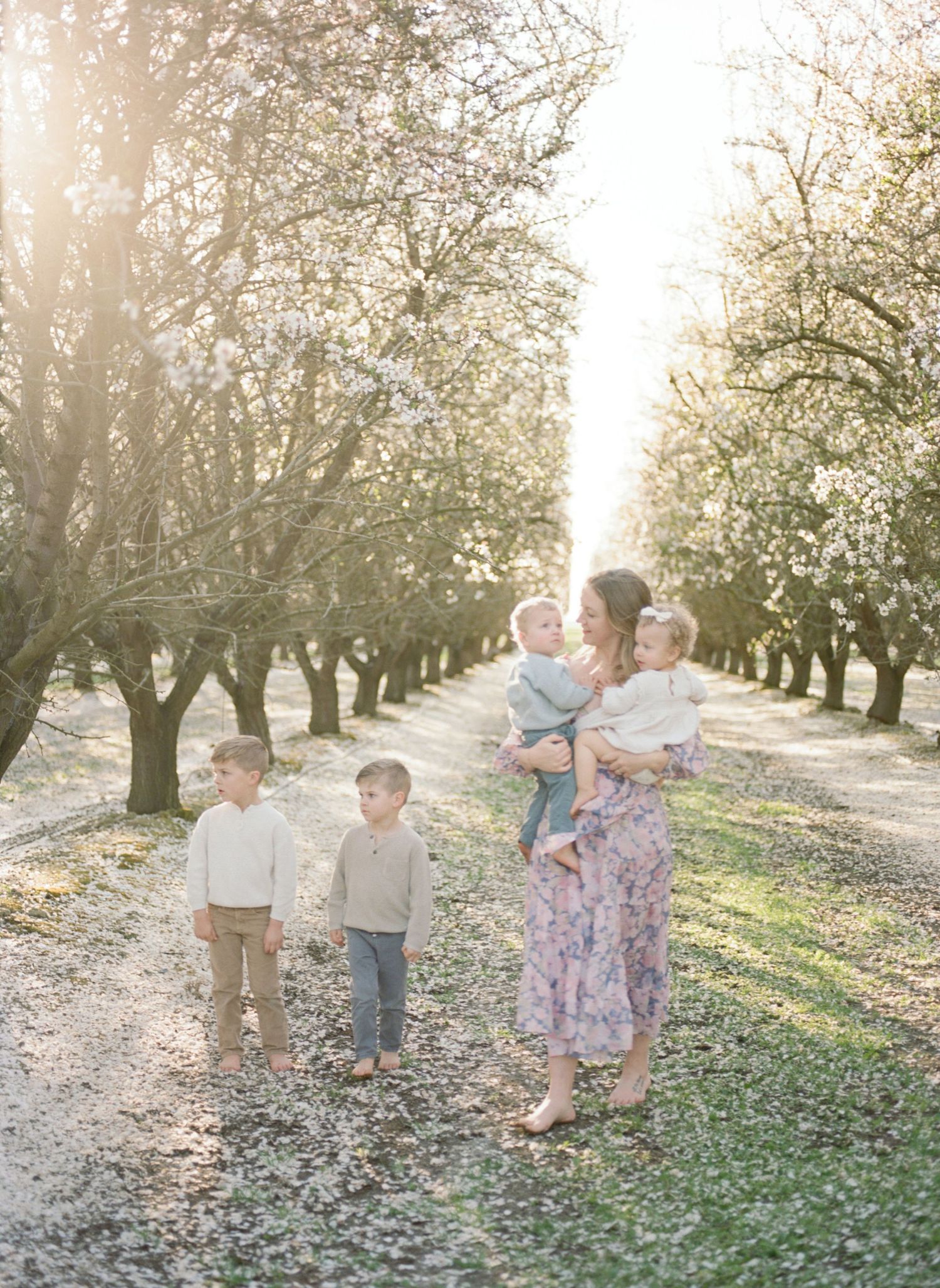 A mother holds two toddlers while two boys stand beside her in a sunlit blossoming orchard.