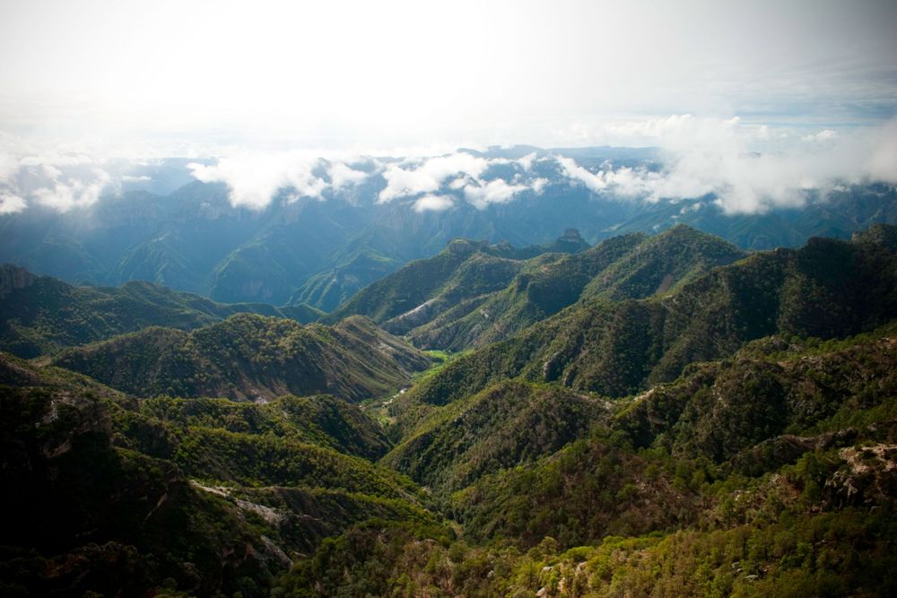 La Sierra Tarahumara, ChihuDramatic mountain landscape with green peaks and misty valleys stretching into the distance.