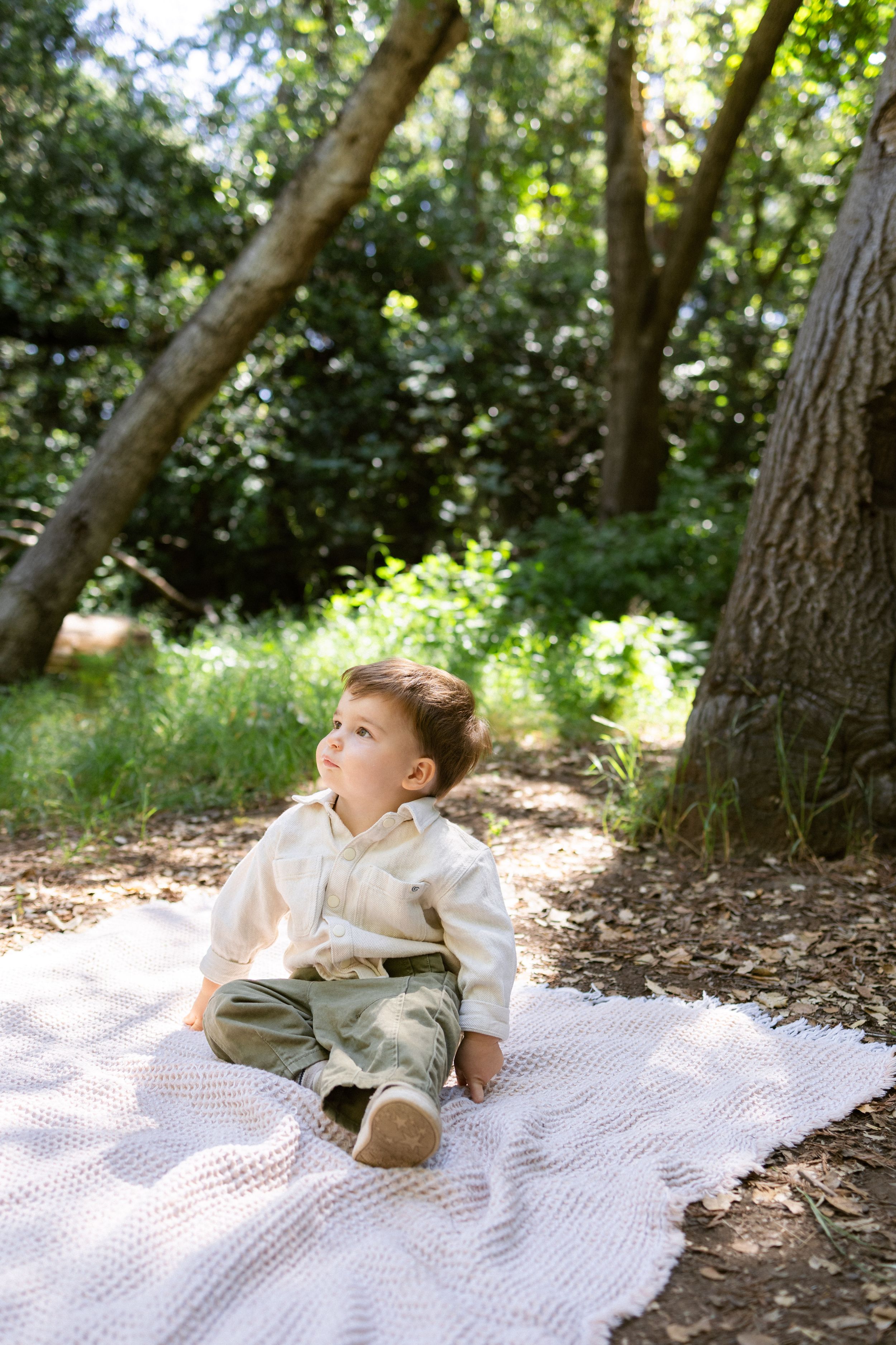 Redwoods family portraits in Bay Area