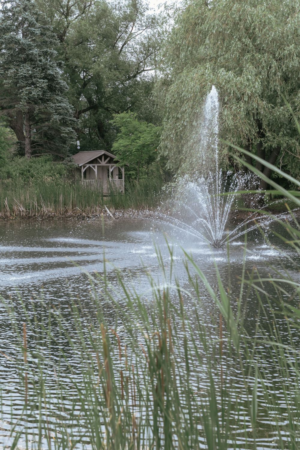 A serene park pond with a water fountain spray, wooden gazebo, and lush green trees reflected in calm water.