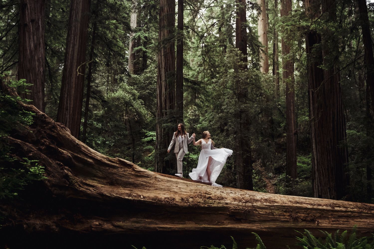 Couple in wedding attire walking on a fallen redwood log surrounded by towering trees in a lush forest setting.