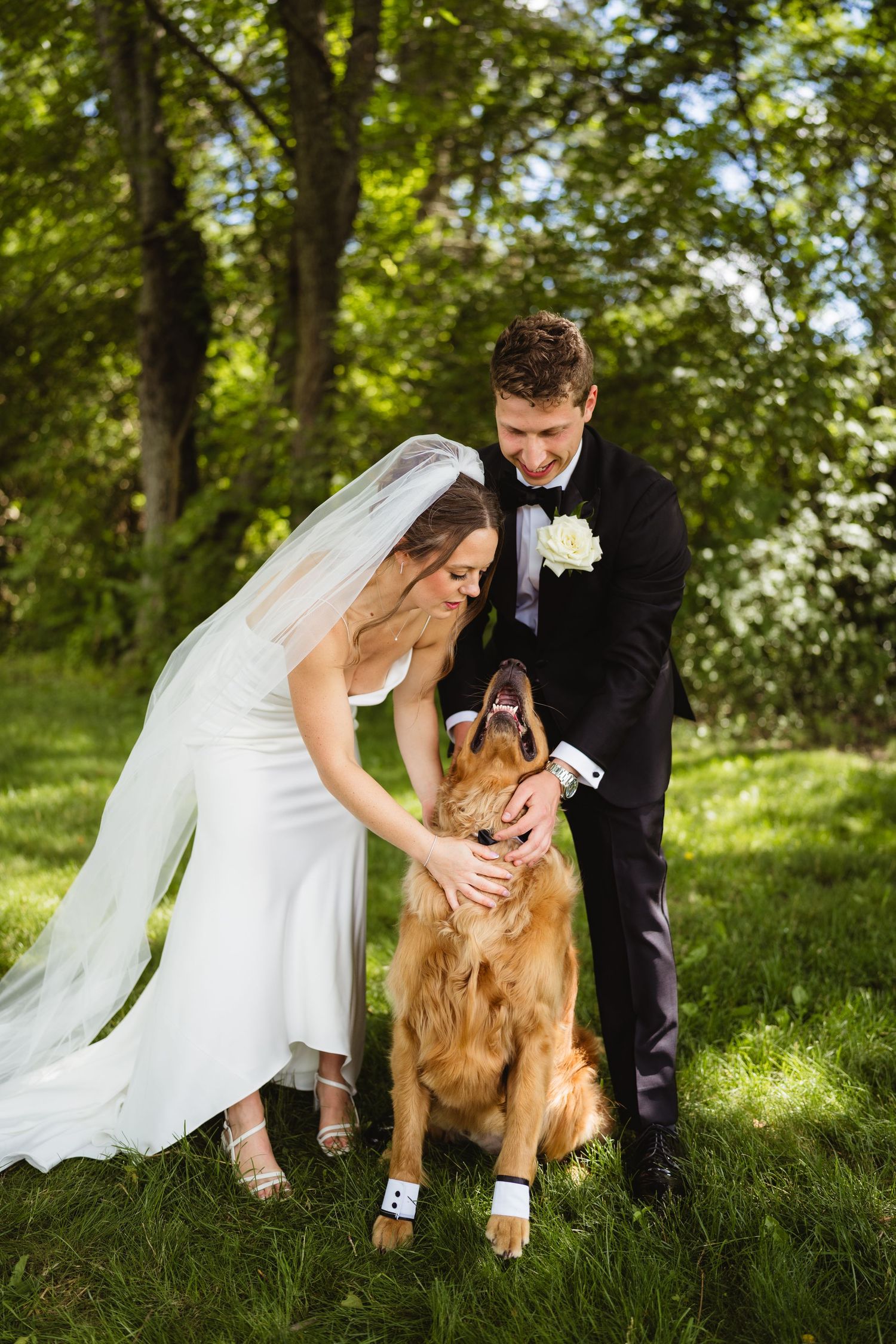 Bride and groom in wedding attire petting a golden retriever dog on green grass outdoors.