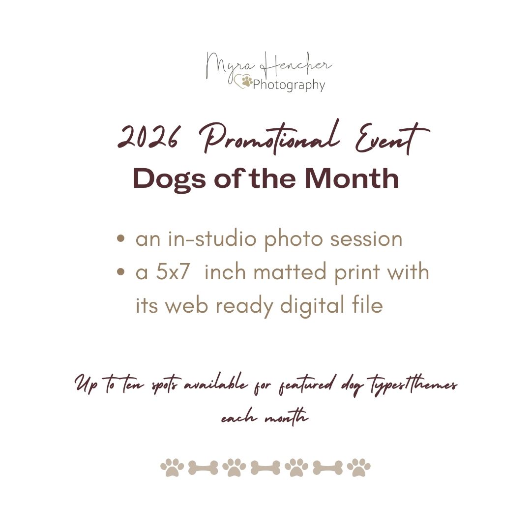 2026 Dogs of the Month promotional event flyer by Myra Hatcher Photography offering studio sessions, prints, and digital files.