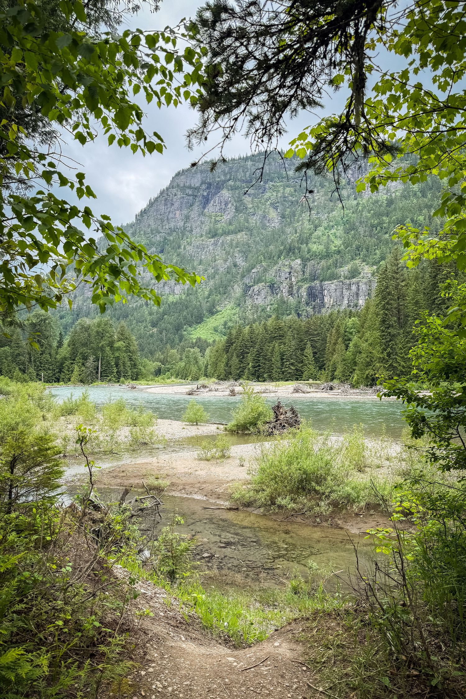 Scenic mountain river landscape with turquoise water, evergreen forest, and rocky cliffs framed by lush green trees.