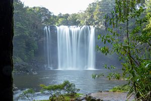 Stunning wide waterfall cascading into a serene pool surrounded by lush green forest.