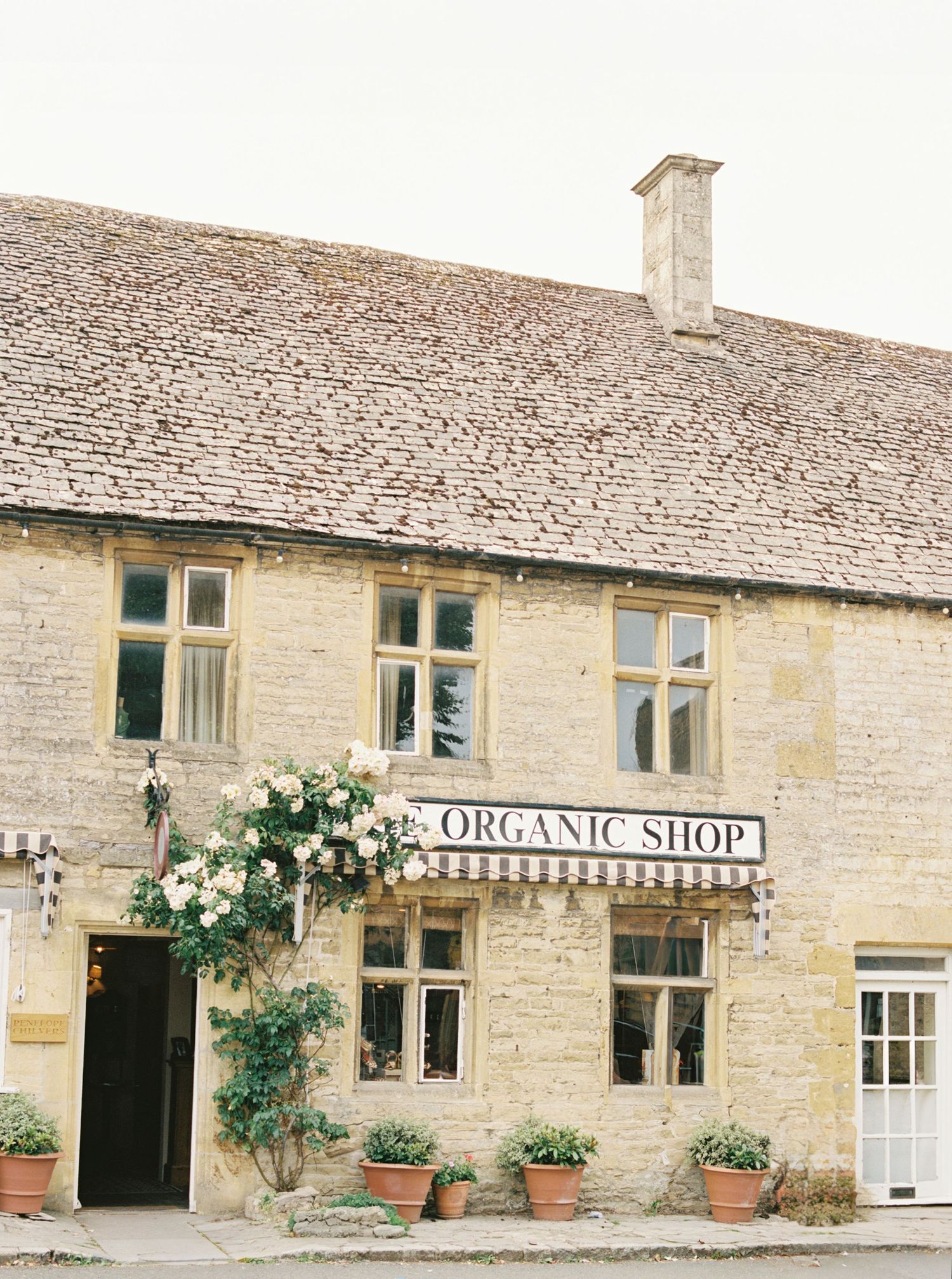 Charming Cotswold stone building housing an Organic Shop with climbing roses and terracotta pots in an English village.