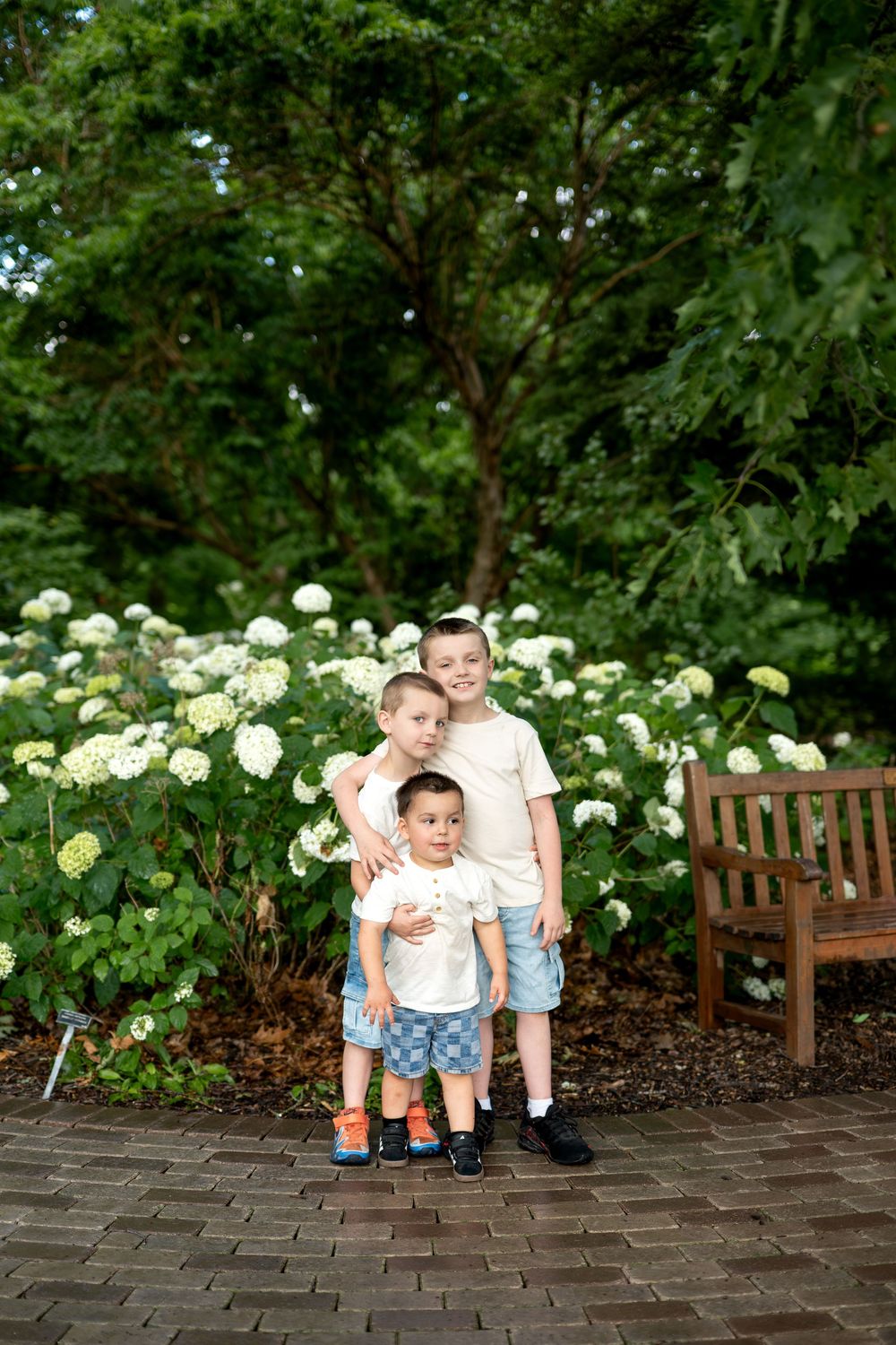Three young boys pose together in a lush garden with white hydrangeas and a wooden bench.