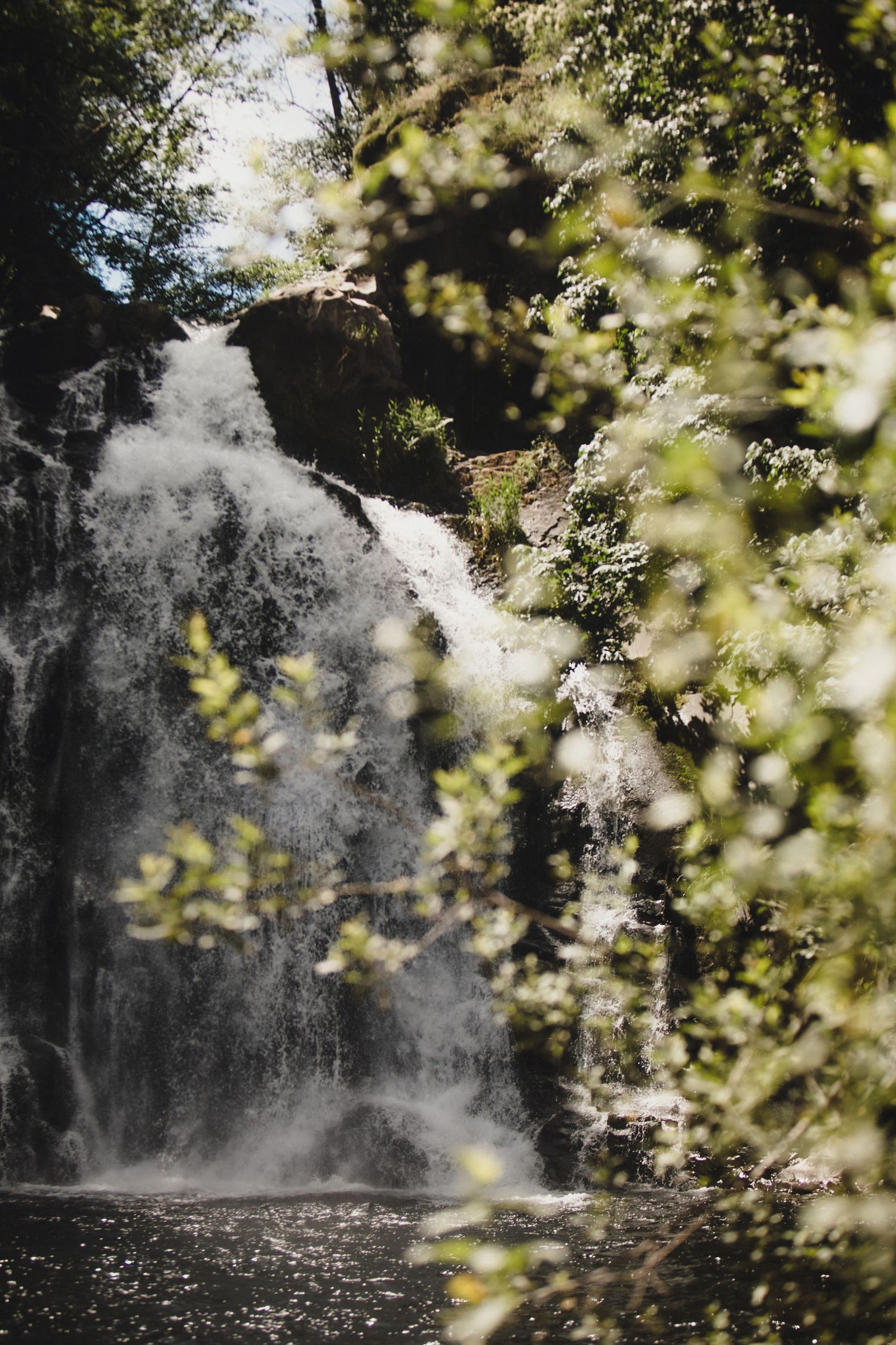 A cascading waterfall flows over rocky terrain surrounded by lush green foliage and trees in a serene forest setting.