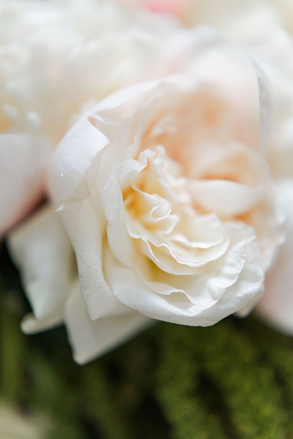 Romantic wedding photographer in Bloemfontein