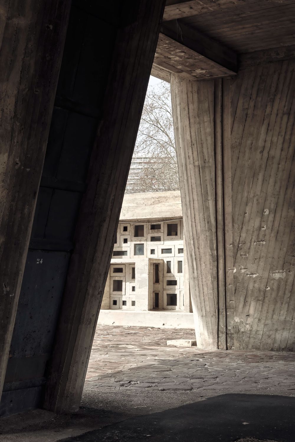 Raw board-formed concrete walls frame a view of a geometric concrete building with grid windows beyond a bare tree.