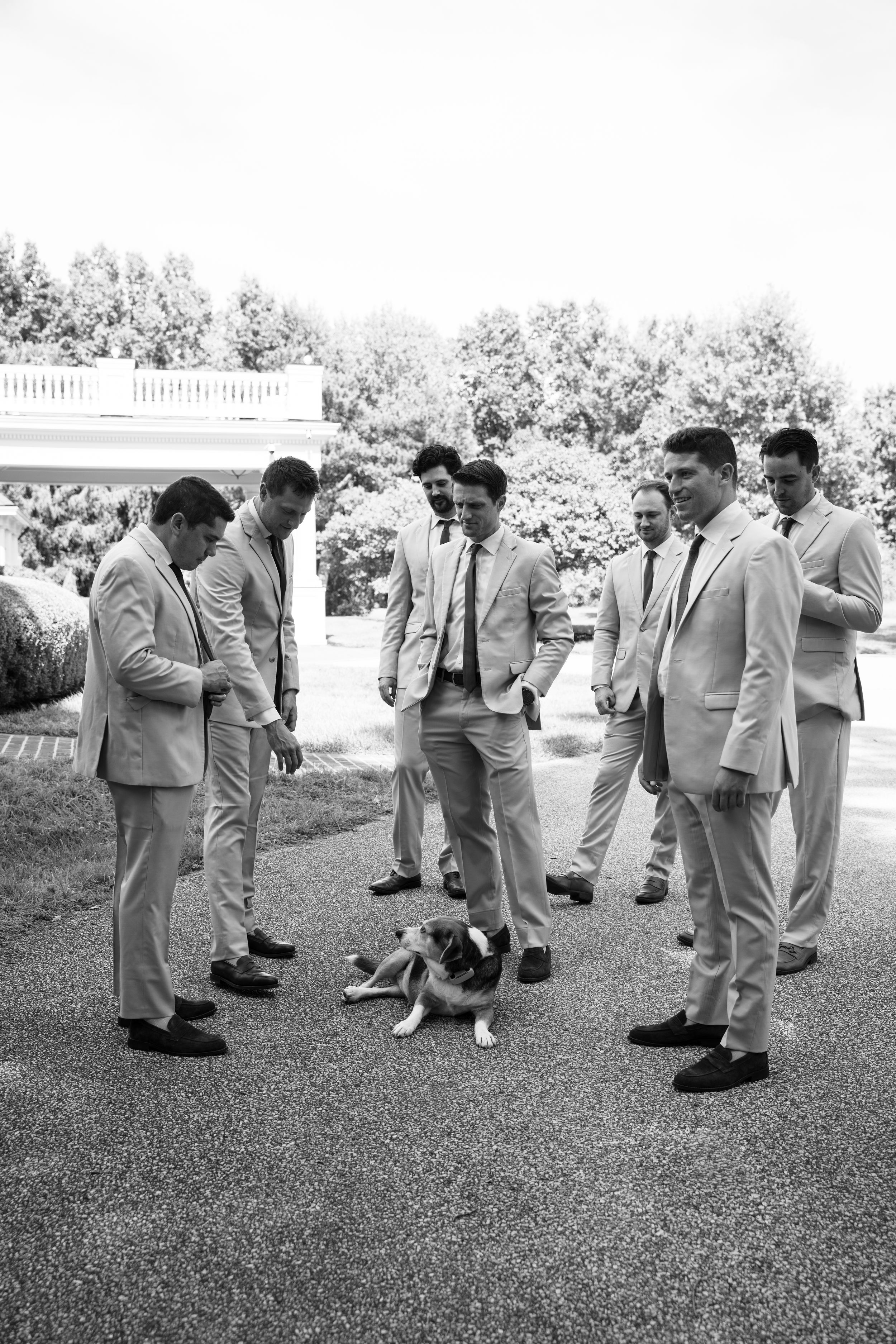 Groomsmen in matching light suits gather around a small dog outdoors at a wedding venue in black and white photo.