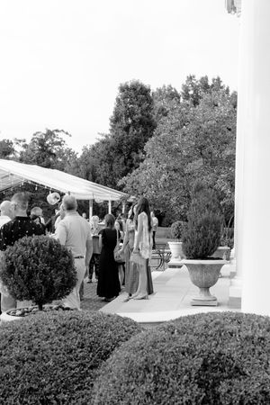 Elegant outdoor wedding reception with guests mingling under a white tent canopy surrounded by manicured hedges and tall trees.