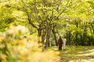 Couple in traditional Japanese attire standing together beneath vibrant green maple trees in a peaceful, sunlit garden.
