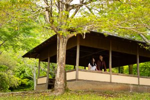 Two people sit together inside an open wooden pavilion surrounded by lush green trees in a peaceful garden setting.