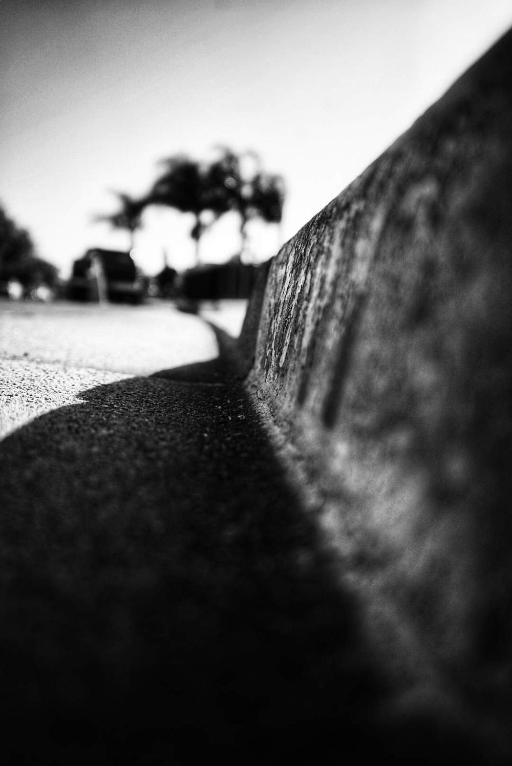 Black and white low-angle shot of a concrete curb with blurred palm trees against a bright sky.
