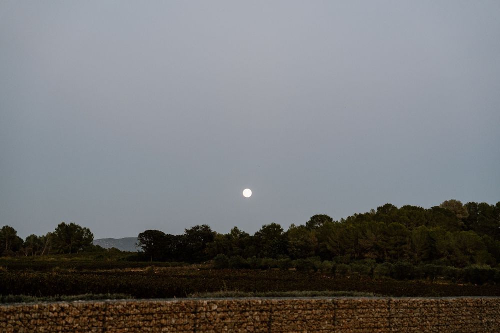 A bright full moon rises over a silhouetted tree line and rustic stone wall in the hazy gray sky of early evening.