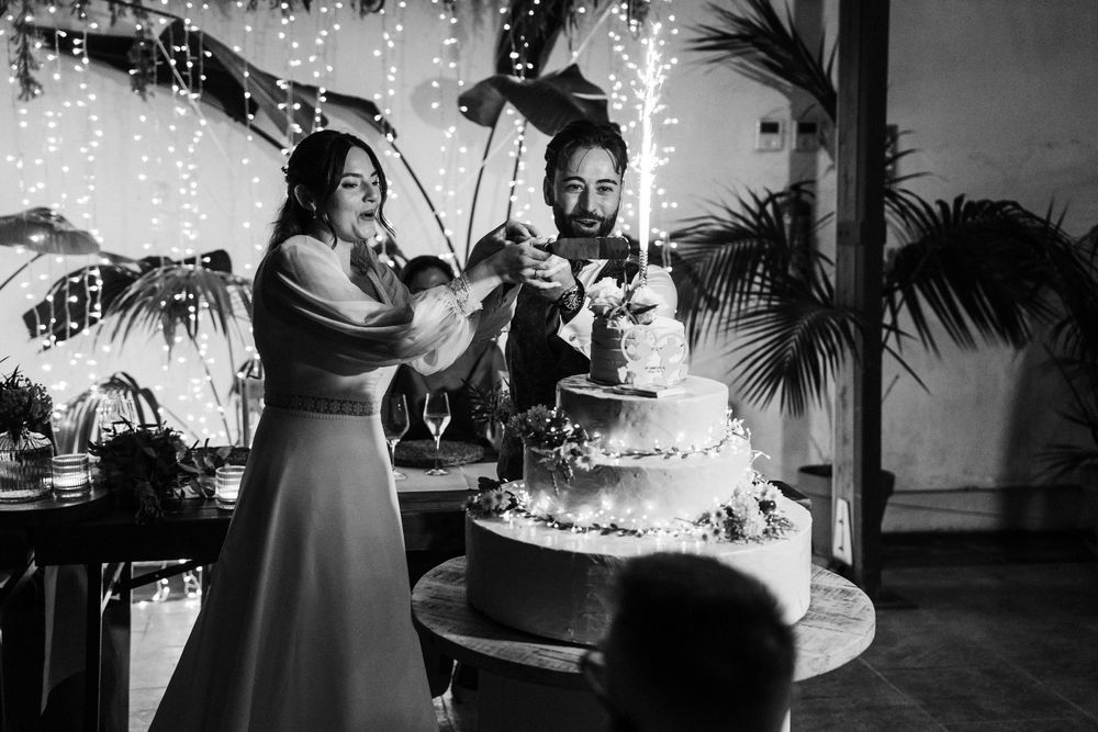 Black and white photo of a bride and groom cutting their tiered wedding cake together under twinkling string lights and tropical plants.