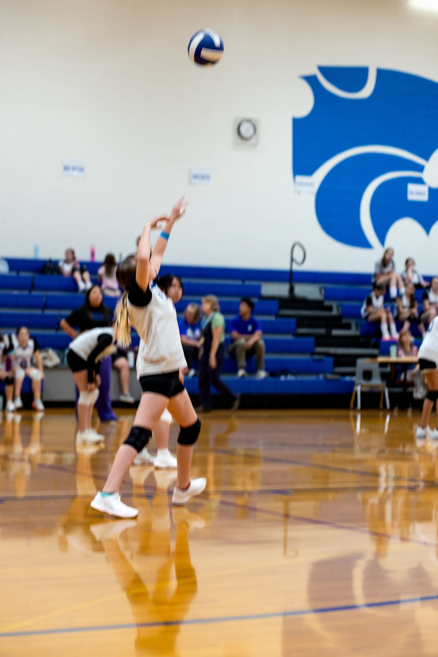 A volleyball player in a white jersey sets the ball high above her head in a school gym with a blue wolf mascot on the wall.