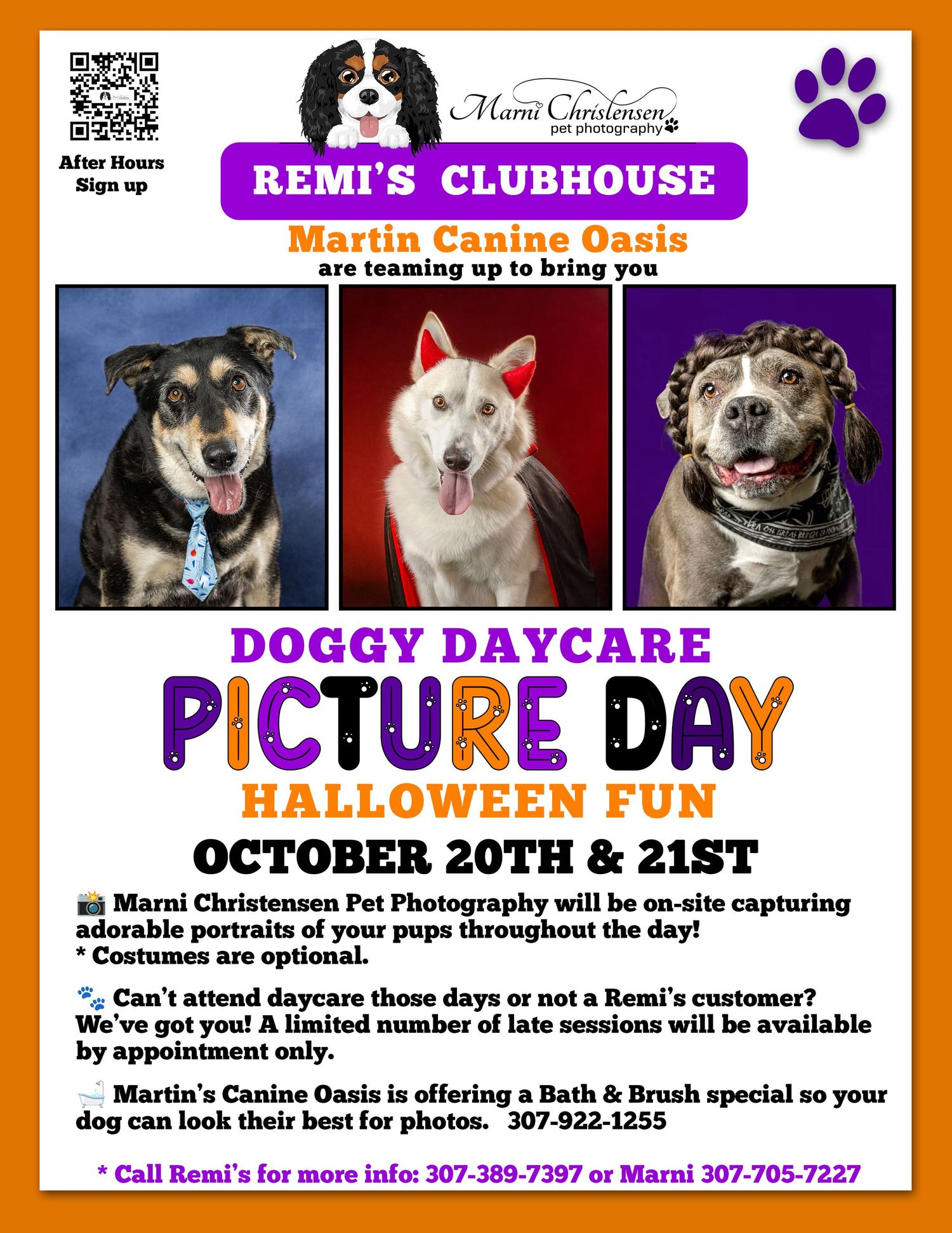 Flyer for Remi's Clubhouse Doggy Daycare Halloween Picture Day on Oct 20-21 featuring three adorable dog portraits.