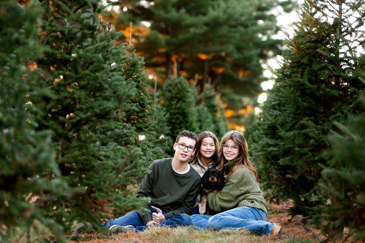 Three young people in cozy sweaters and jeans sit together on the ground, smiling, with rows of evergreen Christmas trees behind them.