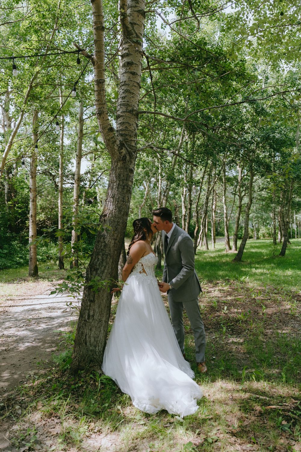 A bride and groom share a romantic kiss beneath tall birch trees in a lush green forest during their wedding day.