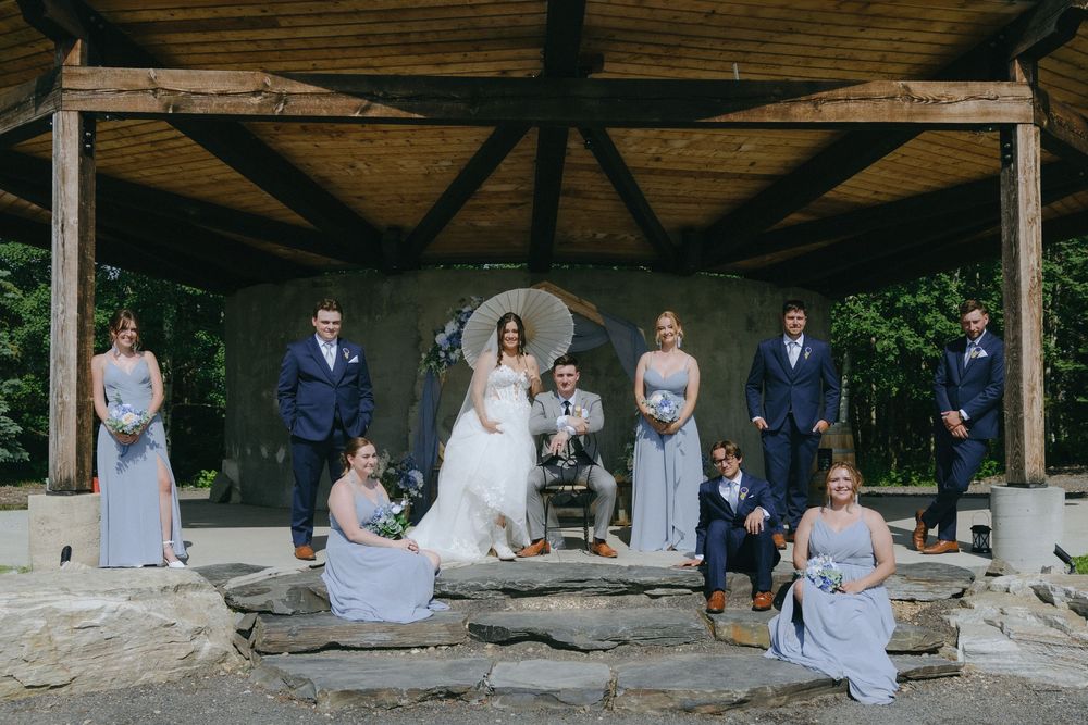 Wedding party poses under a rustic wooden pavilion, bridesmaids in blue gowns and groomsmen in navy suits on stone steps.