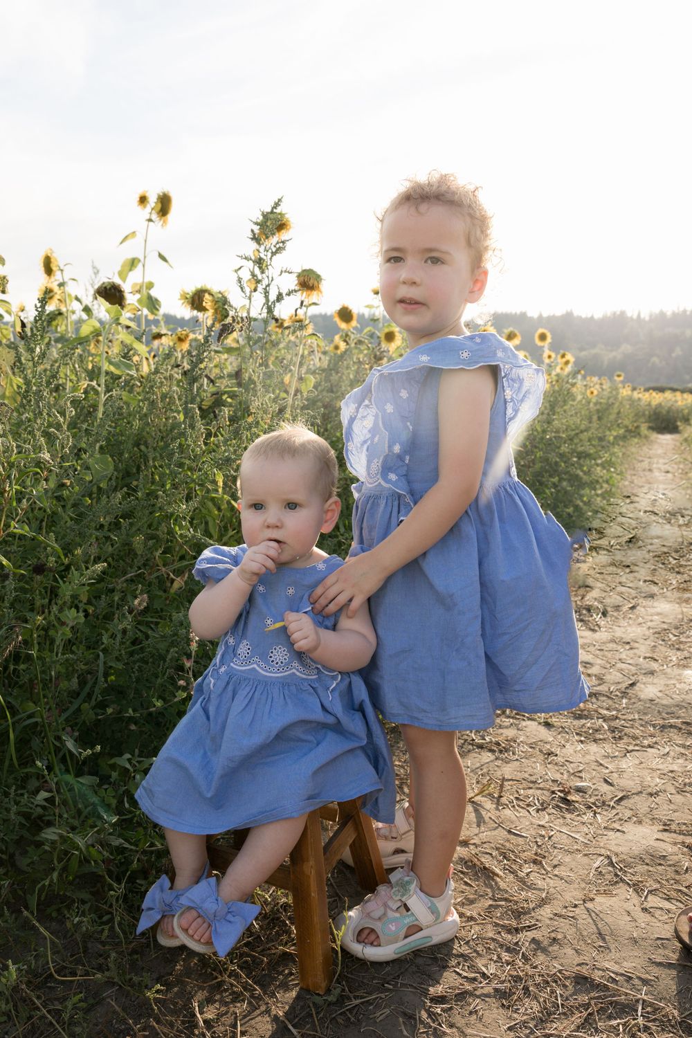 Two young sisters in matching blue dresses pose together in a sunflower field on a sunny day.